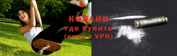 индика Нефтегорск