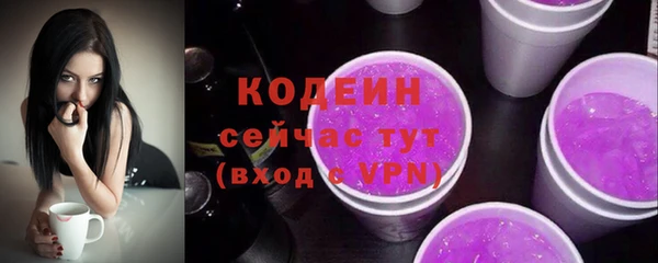 индика Нефтегорск