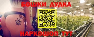 ECSTASY Камышлов