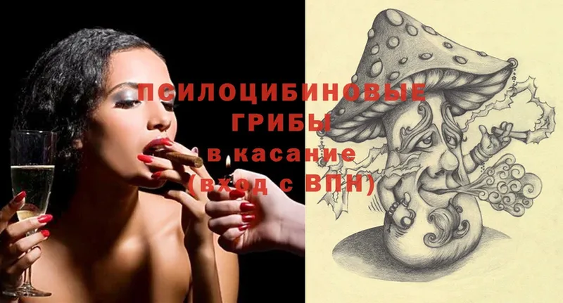 Галлюциногенные грибы Psilocybe  дарк нет телеграм  Химки 