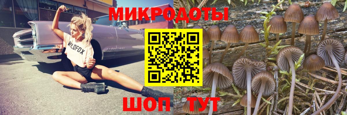 Химки  Галлюциногенные грибы мухоморы  купить  цена  Галлюциногенные грибы Cubensis  Вход с VPN 